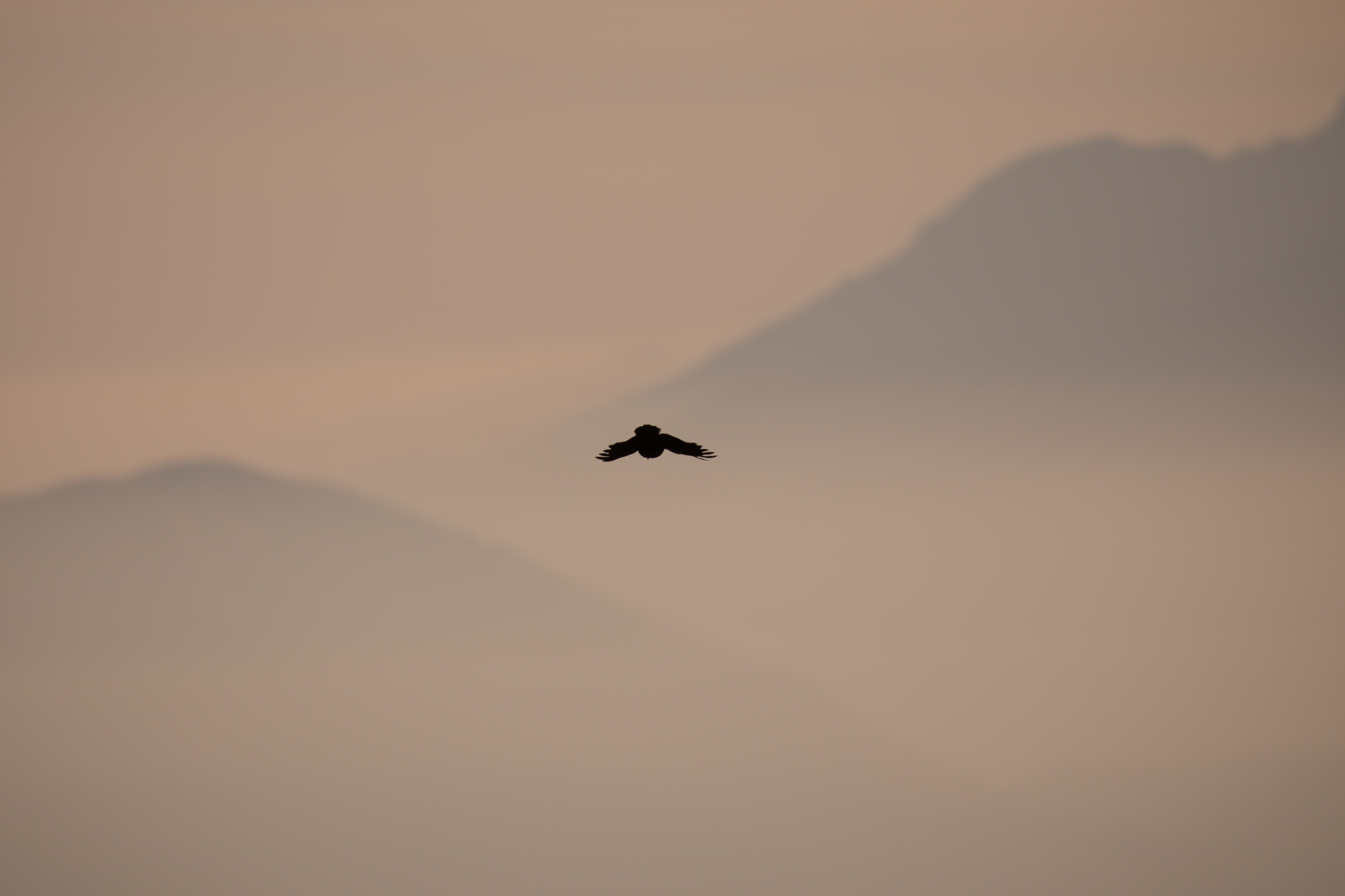 Solitude